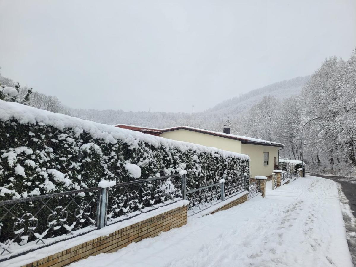 Erholung Pur Bei Nina Appartement Bad Lauterberg Buitenkant foto